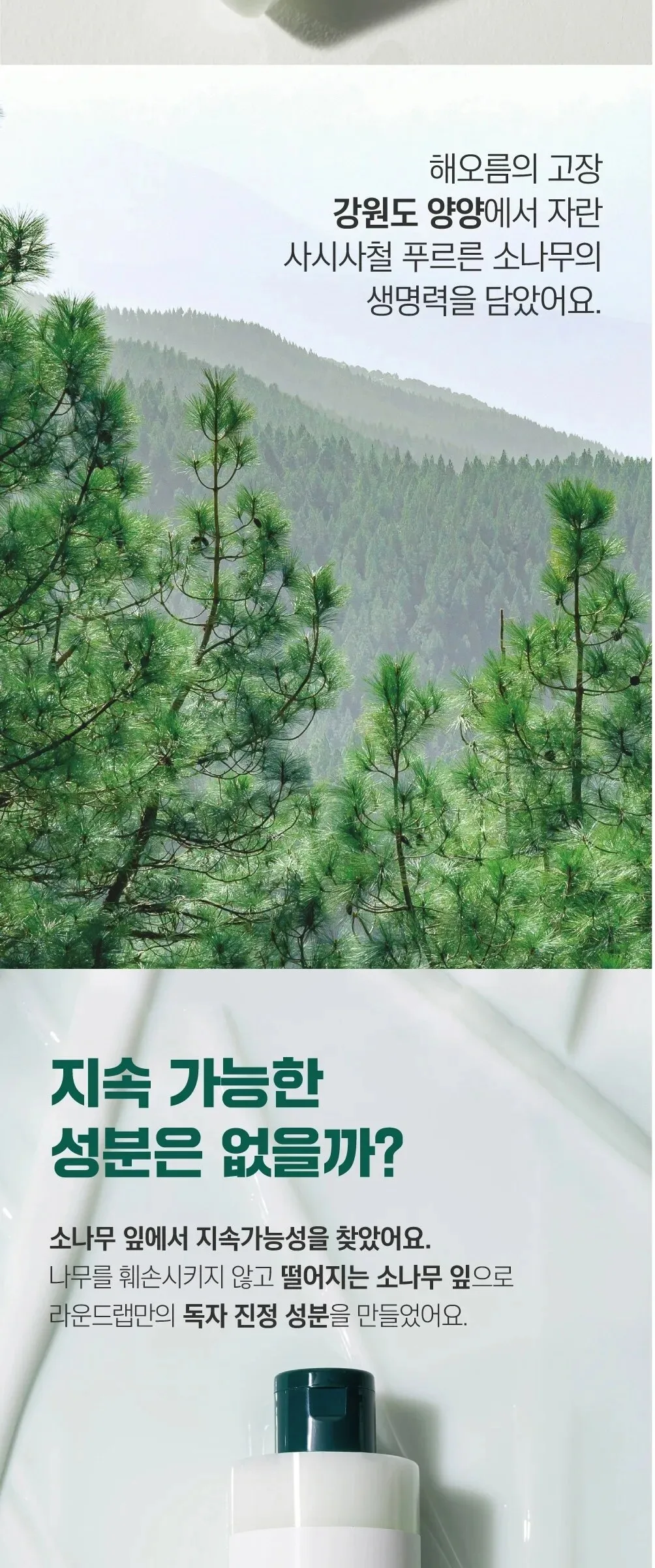 ROUND LAB Pine Calming Cica Lotion 250ml Detail