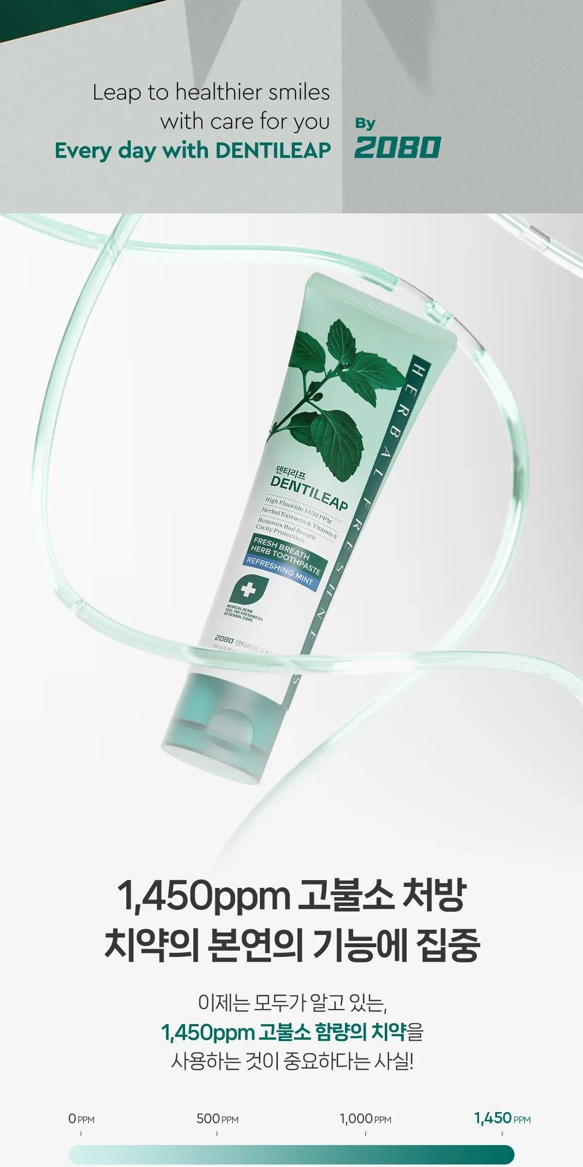 2080 Dentireaf High Fluoride 1450 Bad Breath Care Toothpaste 120g*4pack/180g*4pack Detail