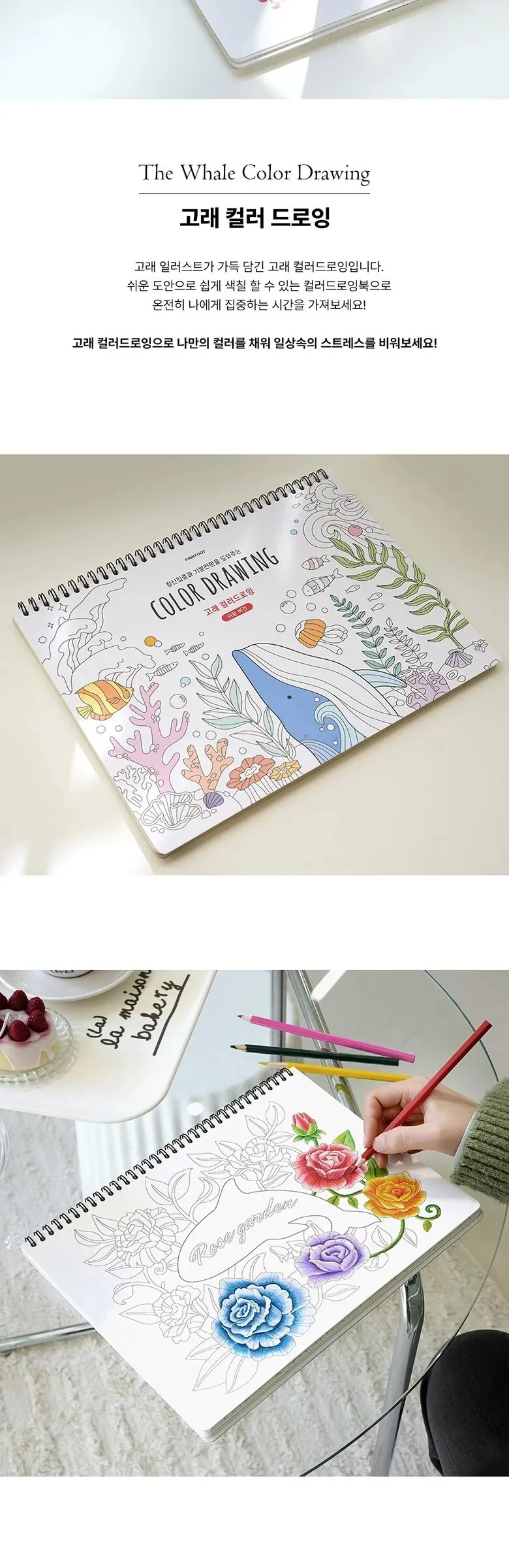 PINKFOOT Whale Color Drawing Book – Easy Version Detail