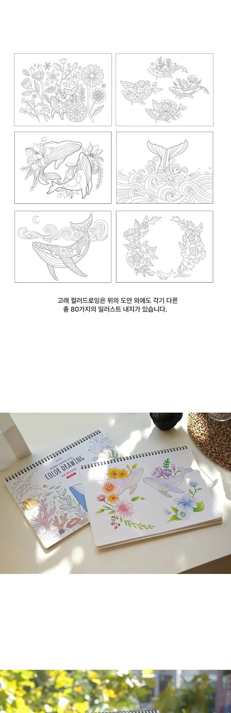 PINKFOOT Whale Color Drawing Book – Easy Version Detail