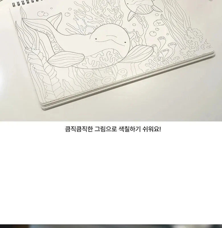 PINKFOOT Whale Color Drawing Book – Easy Version Detail