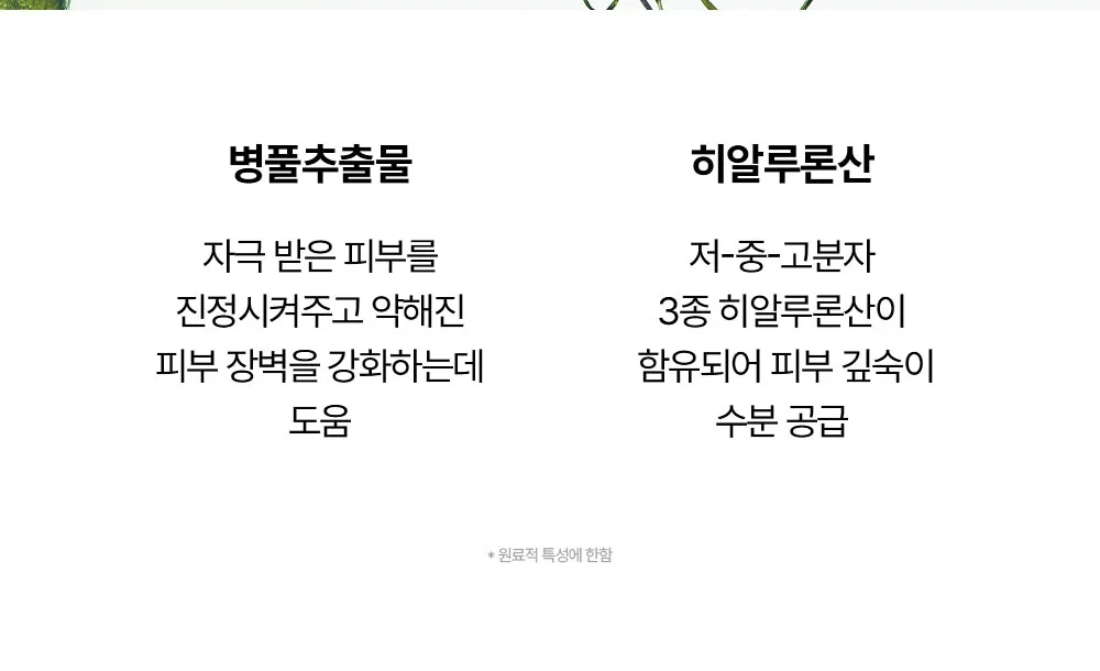BEAUTY OF JOSEON Centella Asiatica Calming Mask 25ml x 10ea Detail