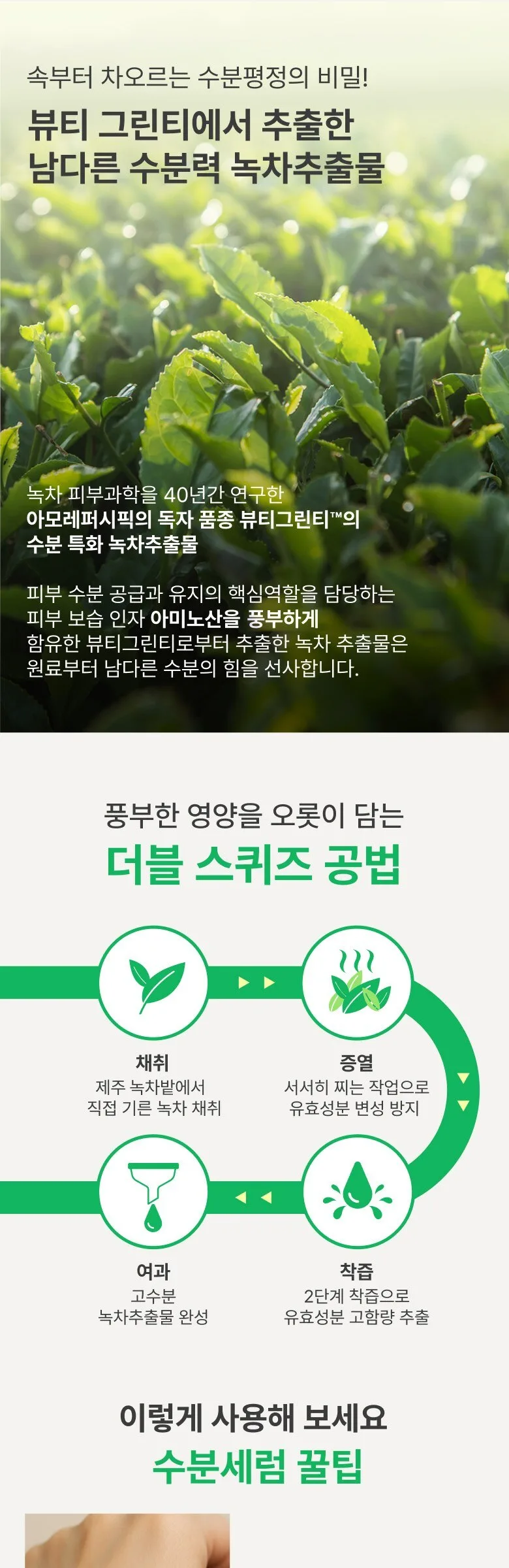 innisfree Green Tea Seed Hyaluronic Serum 80ml Detail