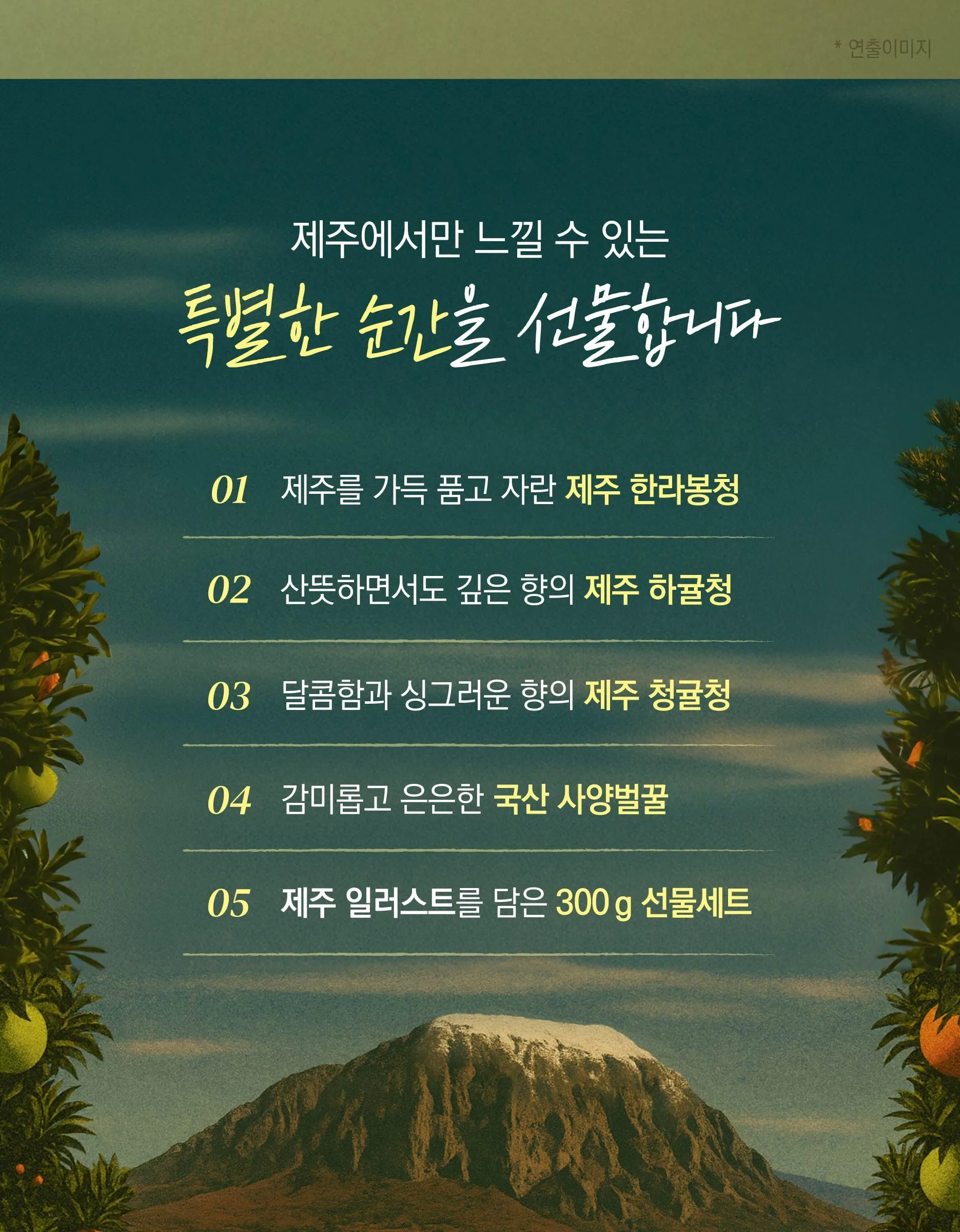 Damter Jeju Liquid Tea 3-Piece Gift Set (Hallabong, Hakyul, Cheonggul 300g each) Detail