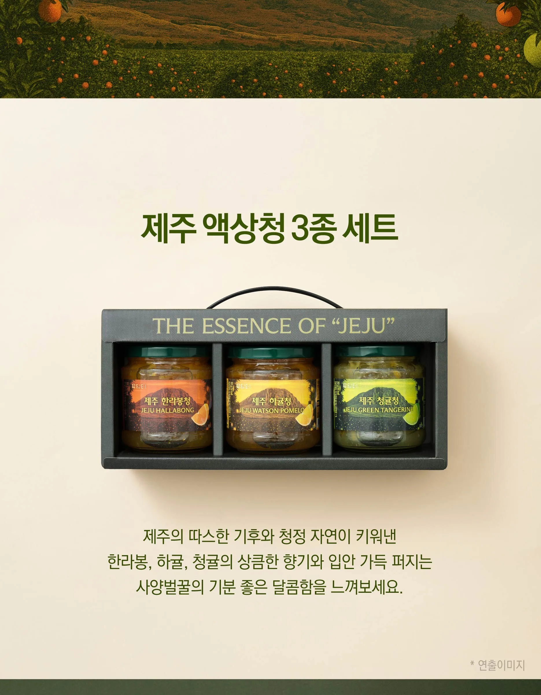 Damter Jeju Liquid Tea 3-Piece Gift Set (Hallabong, Hakyul, Cheonggul 300g each) Detail