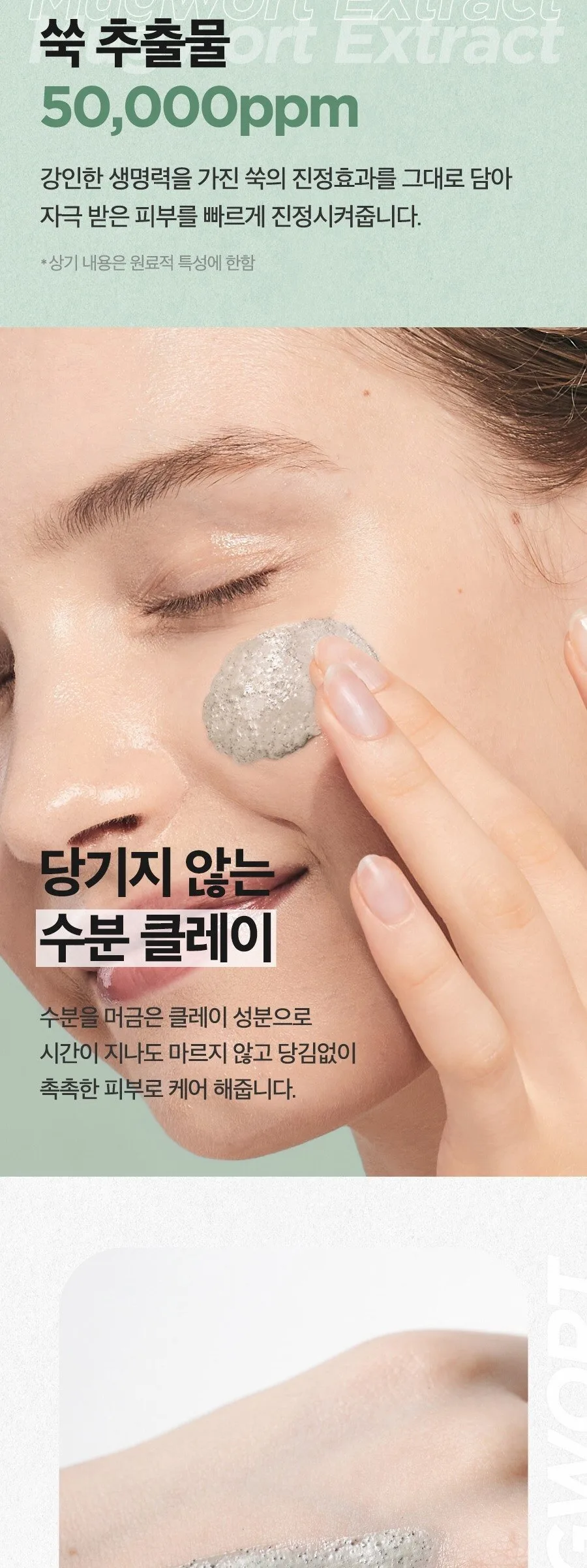ISNTREE Mugwort Calming Clay Mask 100 ml Detail