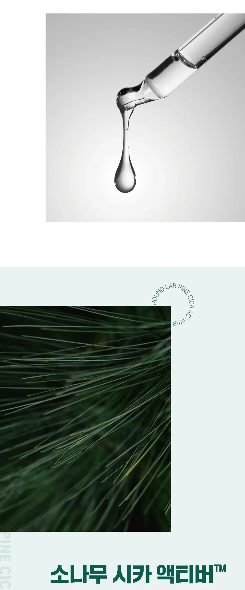 ROUND LAB Pine Tree Calming Cica Sheet Mask 27ml x 10 Sheets Detail