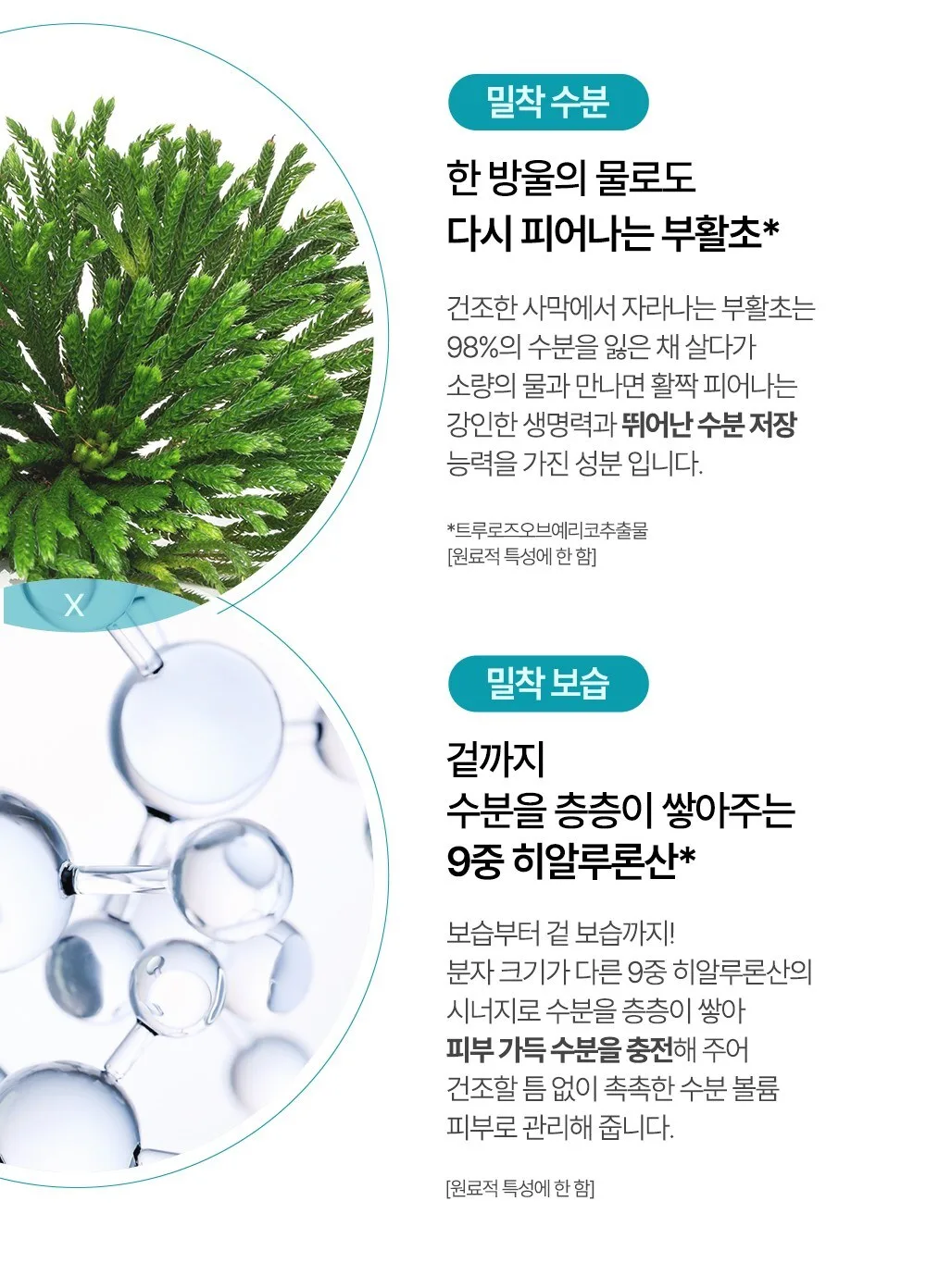 ESSENHERB  Rose of Jericho Hydration Cotton Mask 5EA Detail