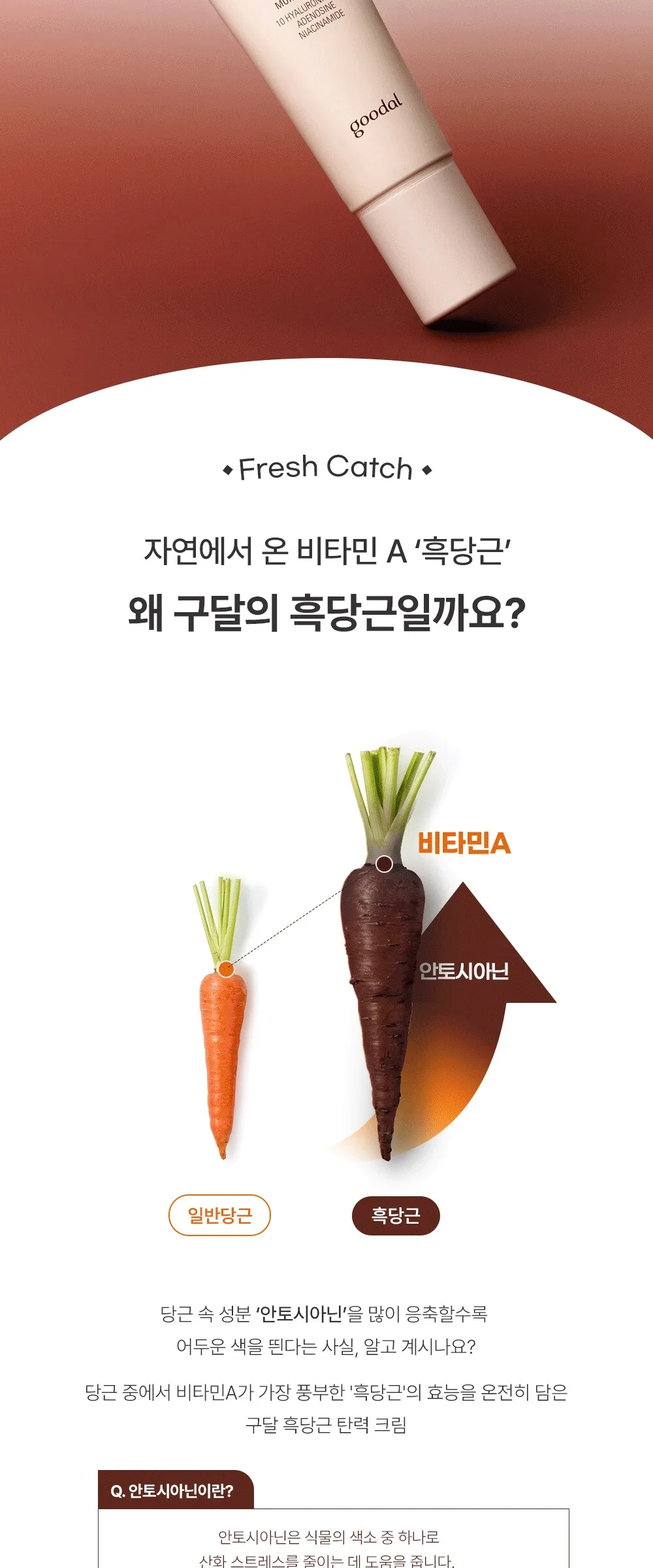 goodal Black Carrot Vita A Retinol Firming Cream 50ml Detail