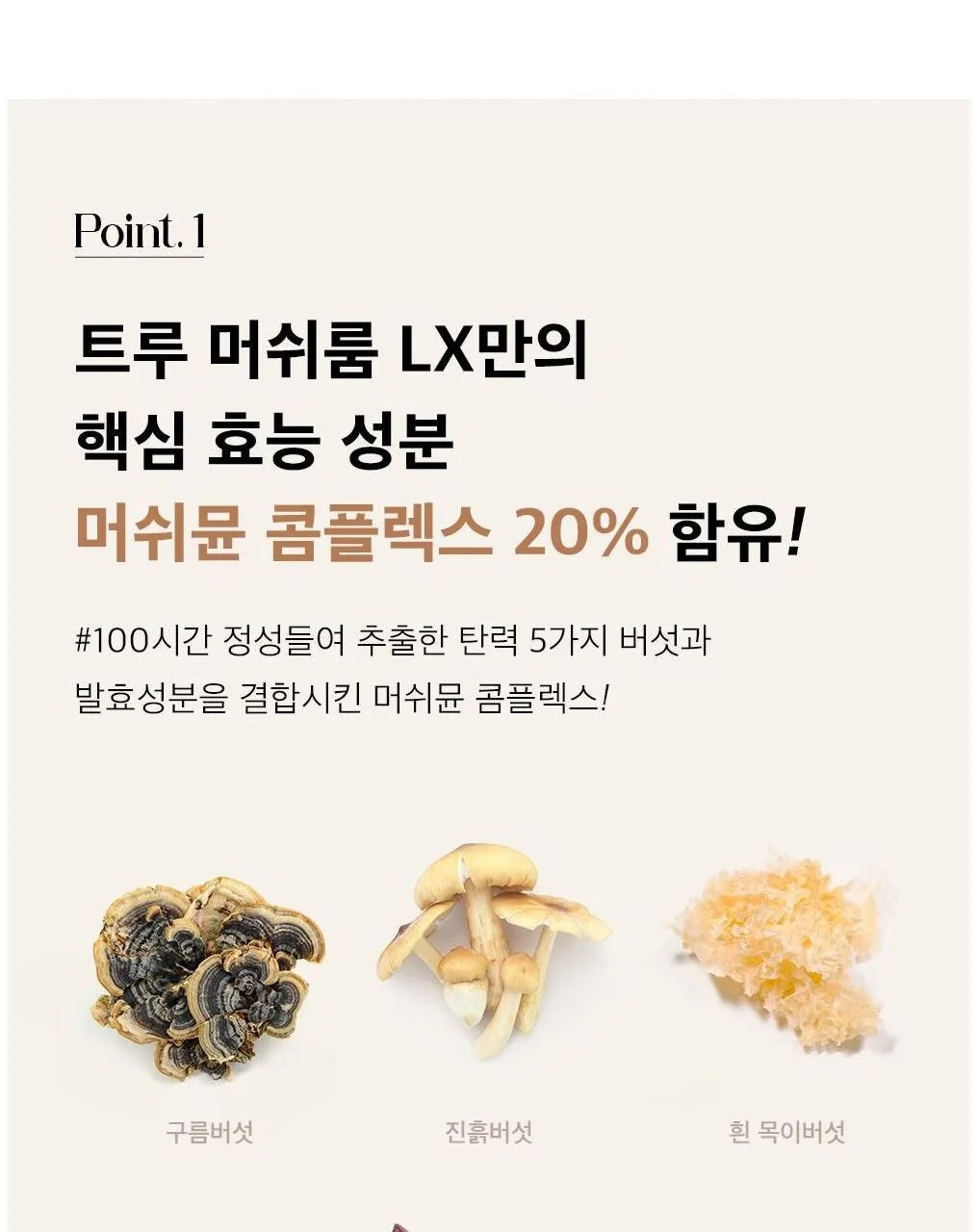 THE SAEM True Mushroom LX 3 Set Detail