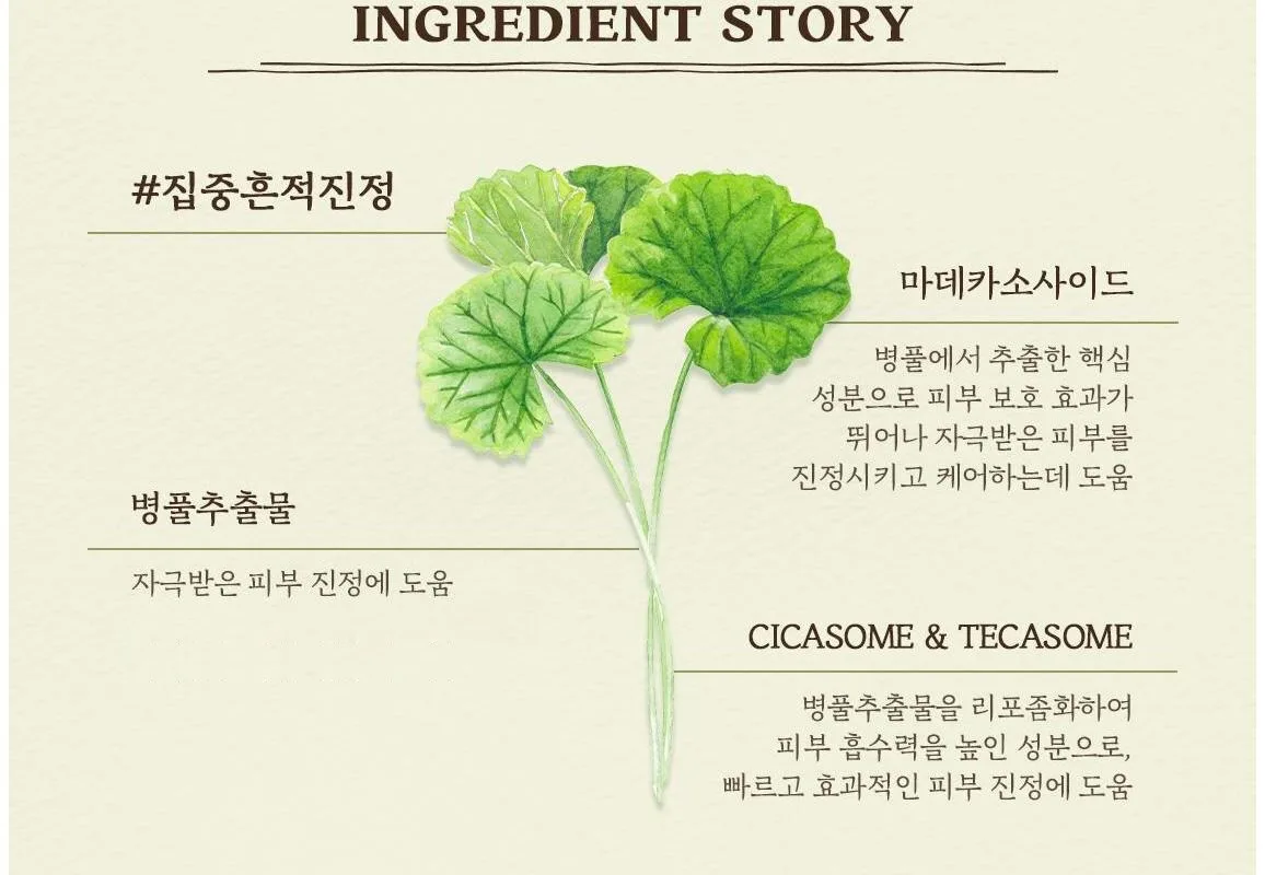 Skinfood Potato Madecassoside Daily Mask 270g (30ea) Detail