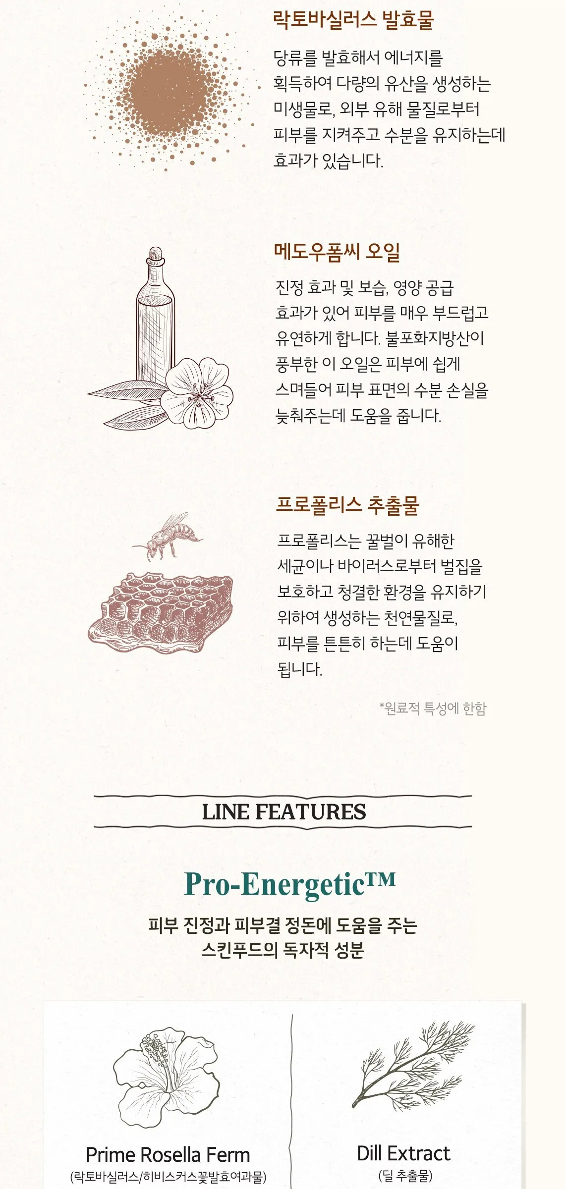 SKINFOOD Honey Sugar Food Mask 120g Detail