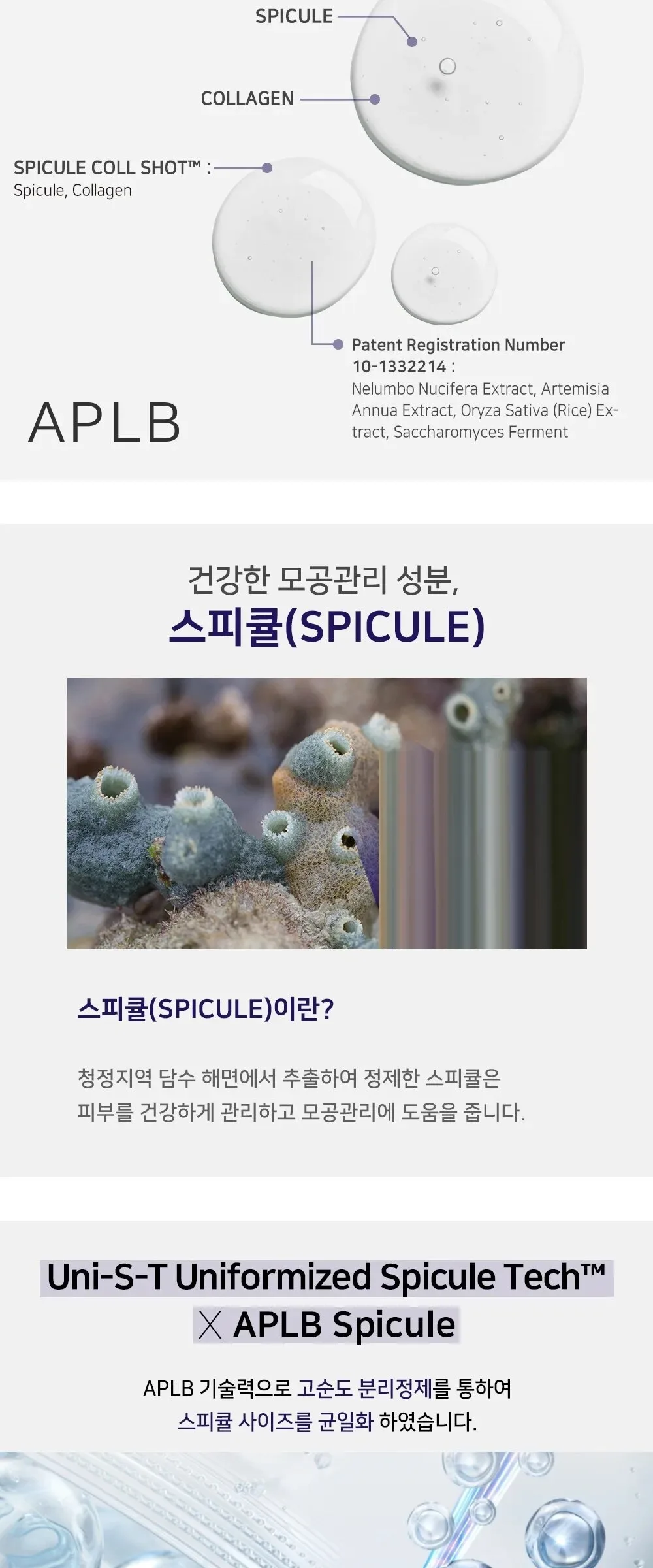 APLB Spicule Collagen Shot 300 Serum 40ml Detail