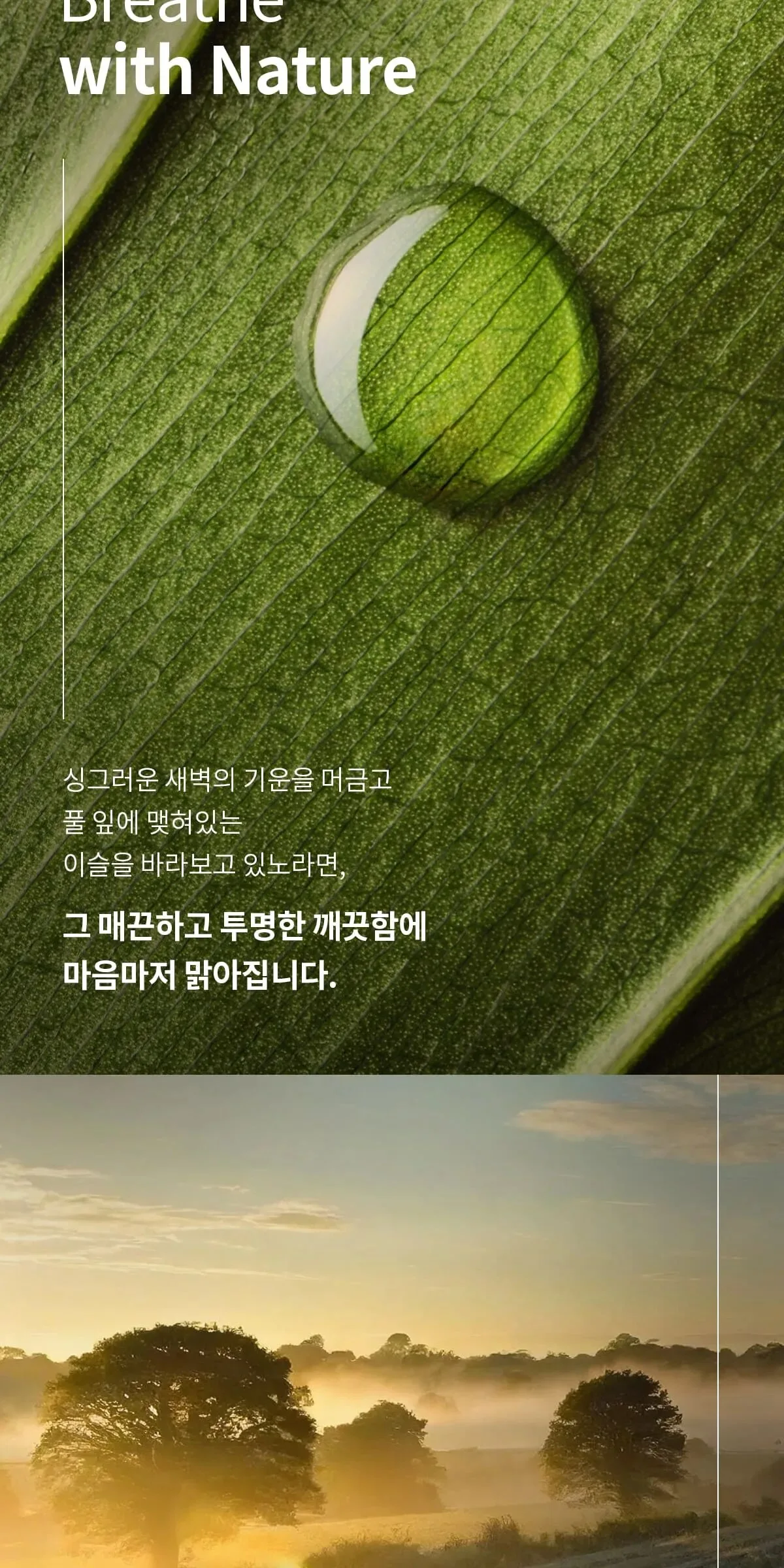 SU:M37 Time Energy Bright Clarifying Toner 170ml Detail