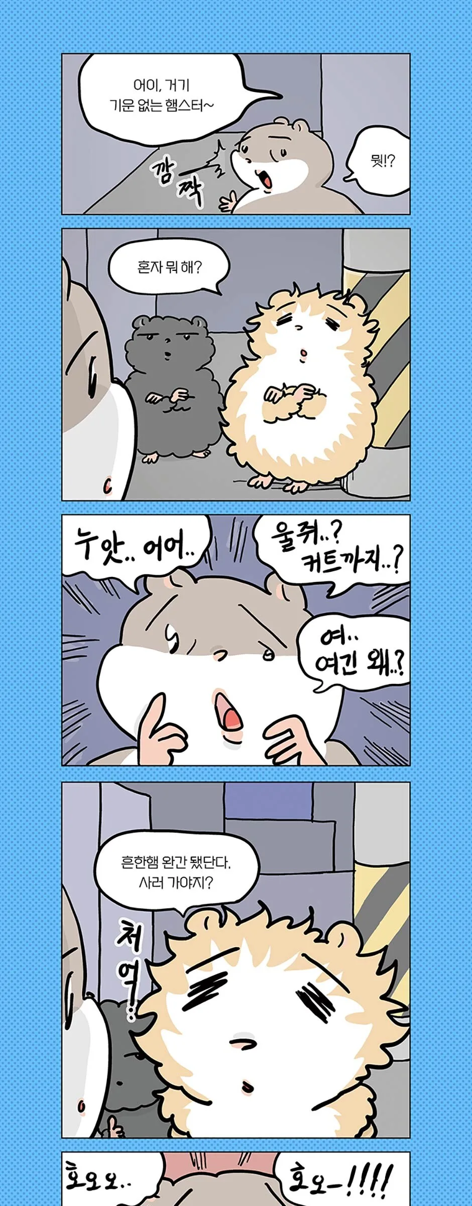Common Ham Comic Book Set 1–4 Detail