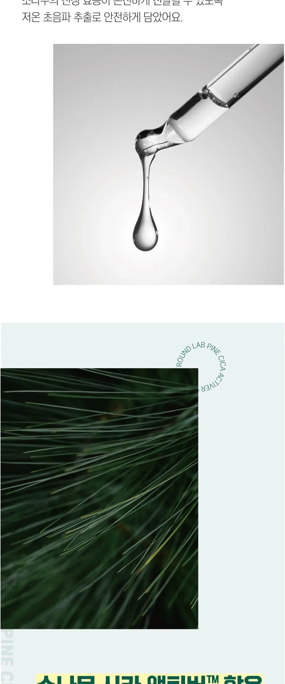 ROUND LAB Pine Calming Cica Cleanser 150ml Detail