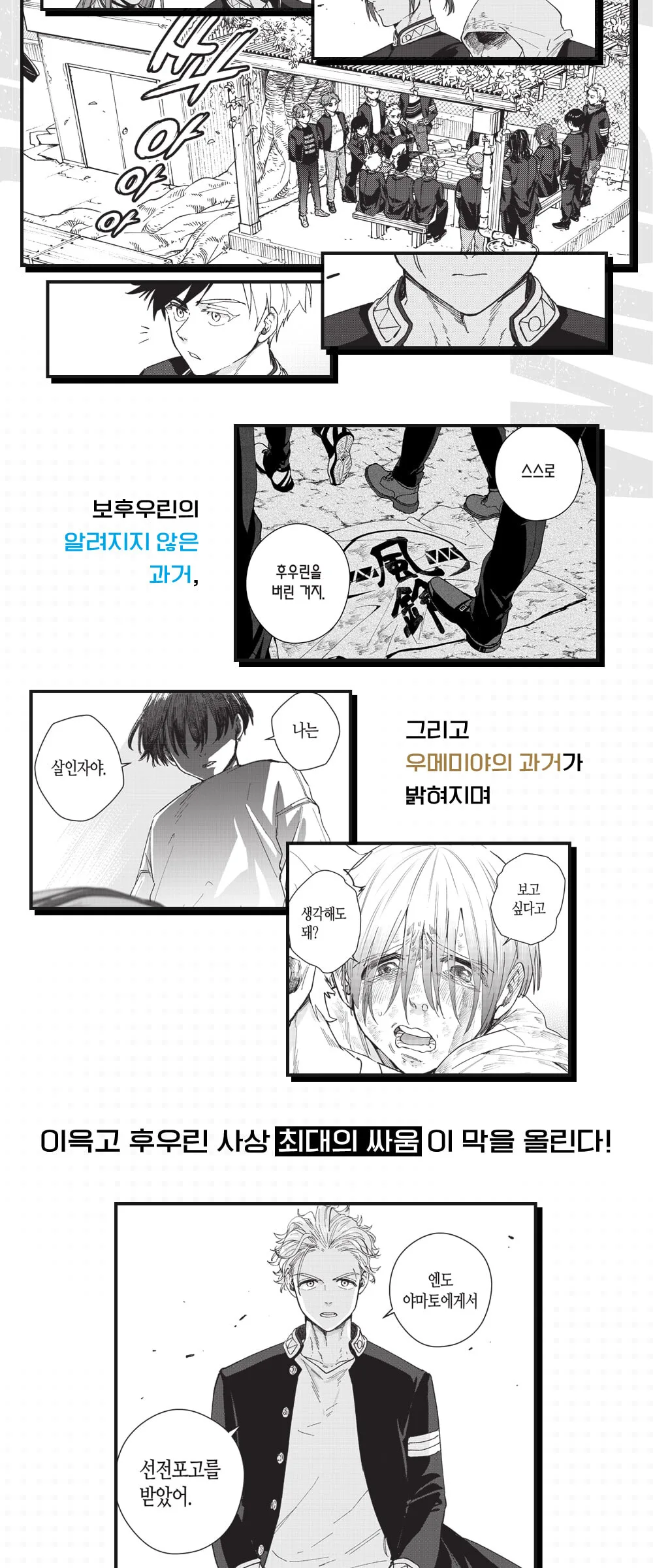 Wind Breaker Volumes 11-12 Set Detail