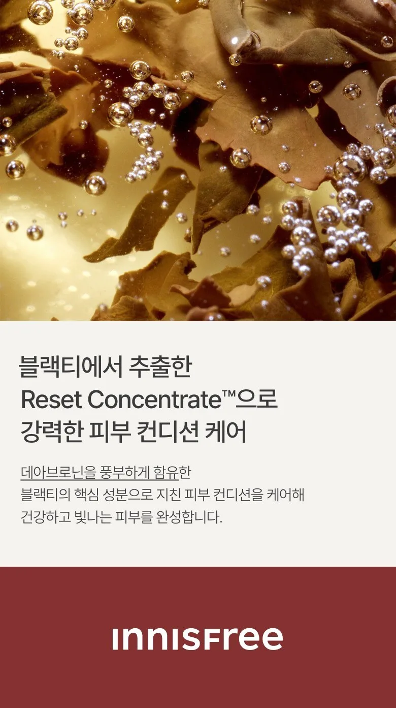 INNISFREE Black Tea Youth Enhancing Ampoule Special Set Detail