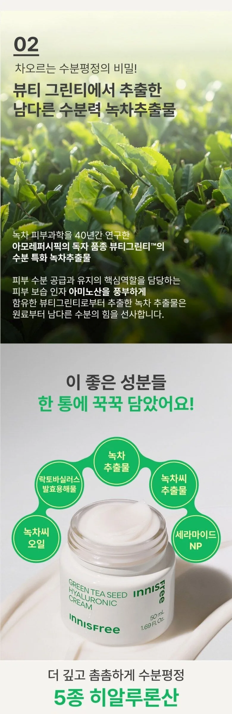 Innisfree Green Tea Hyaluronic Acid Skincare 3pcs Set Detail