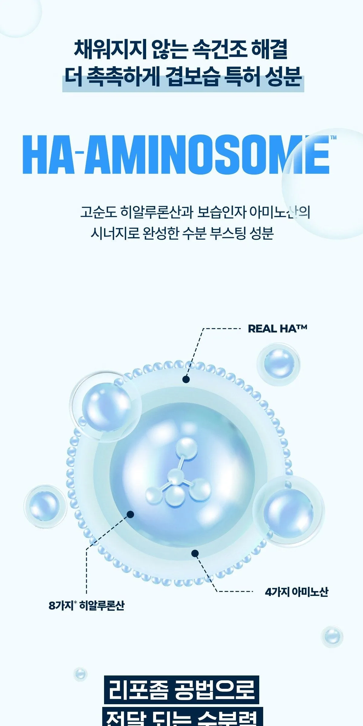 WELLAGE Real Hyaluronic Blue Ampoule 100 100ml Detail
