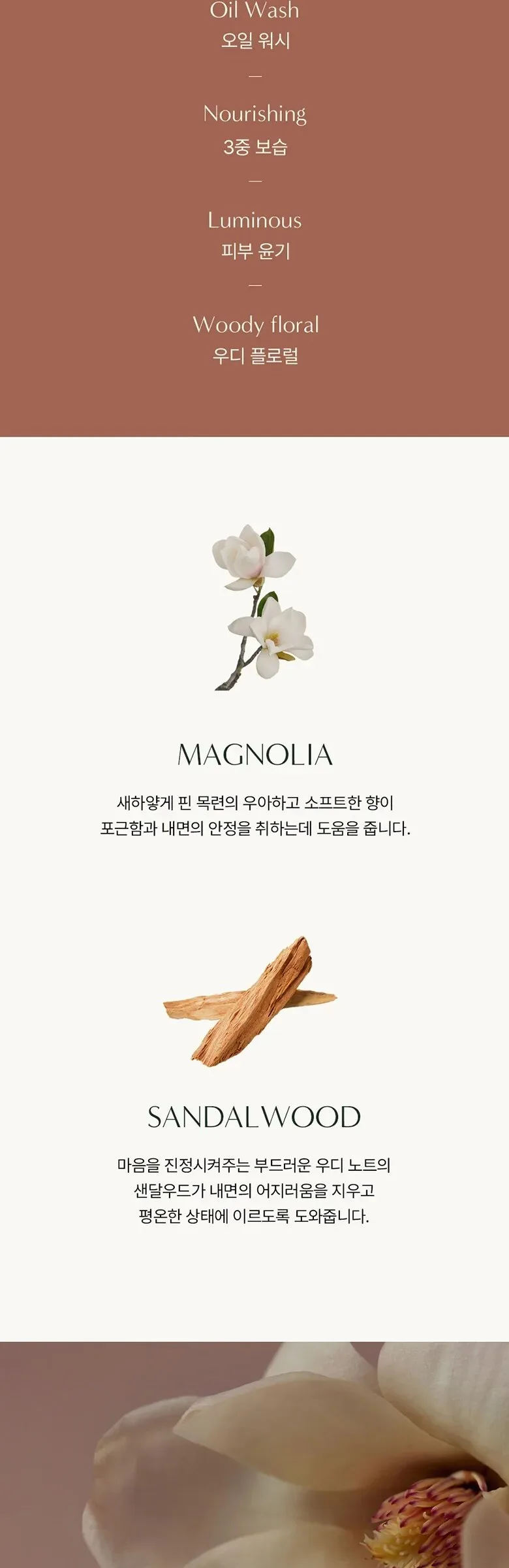 AROMATICA Mellowness Oil in Body Wash Magnolia & Sandalwood 290ml Detail