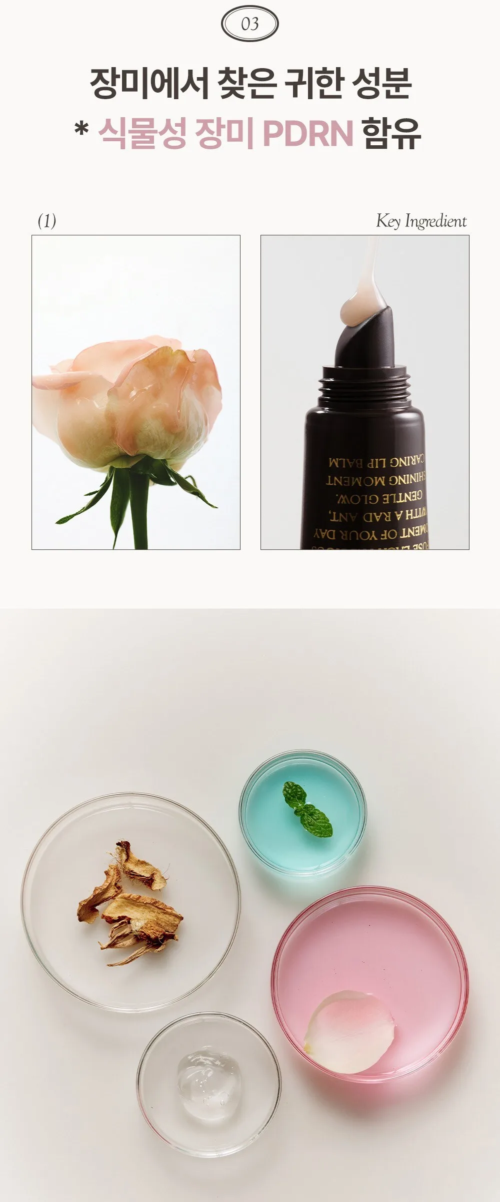 RULIDIA Shining Moment Caring Lip Balm 8g Detail