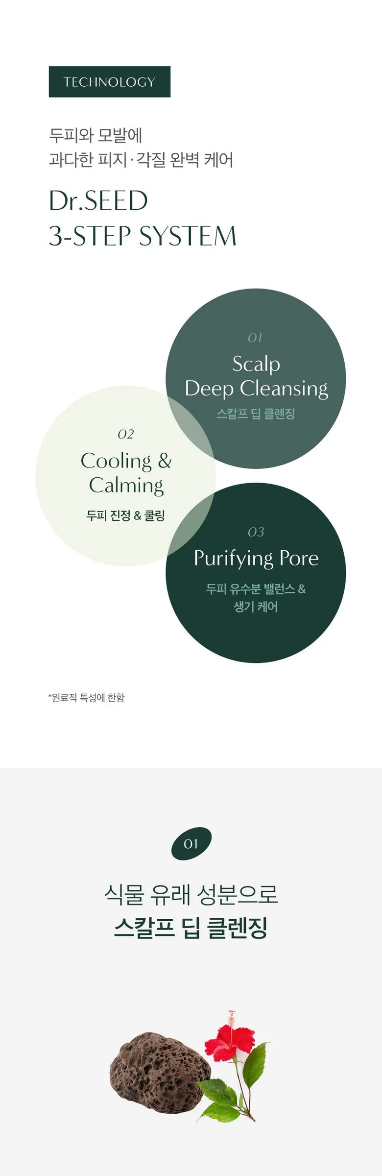 Dr. Seed Tea Tree & Lime Vegan No-Sebum Cool Anti-Hairloss Shampoo 1000ml Detail