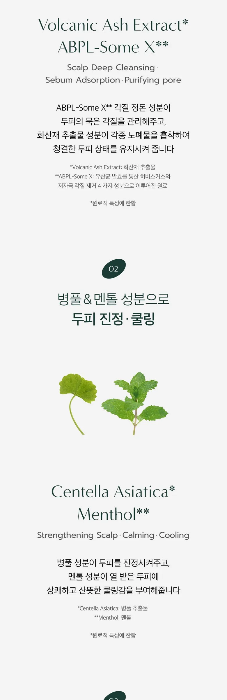 Dr. Seed Tea Tree & Lime Vegan No-Sebum Cool Anti-Hairloss Shampoo 1000ml Detail