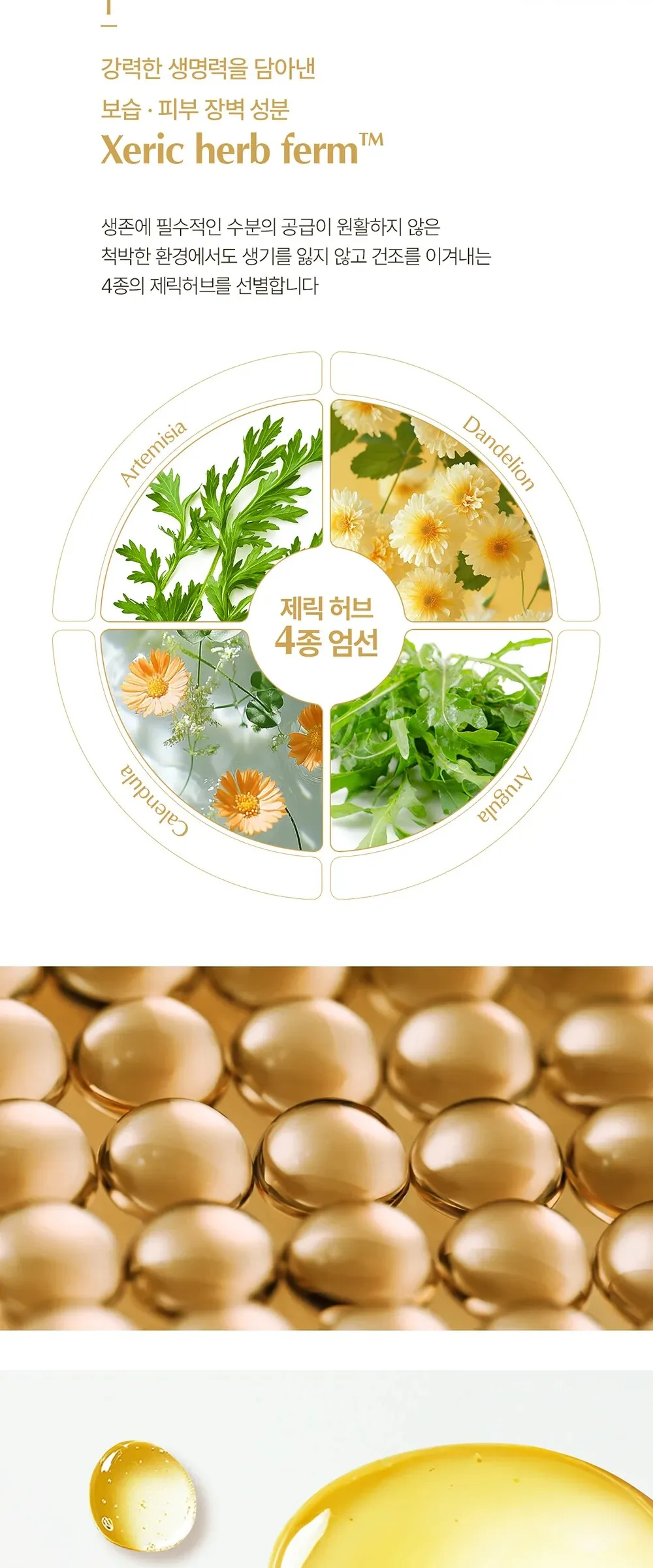 SU:M37 Time Energy Moist Concentrate Serum 50ml Detail