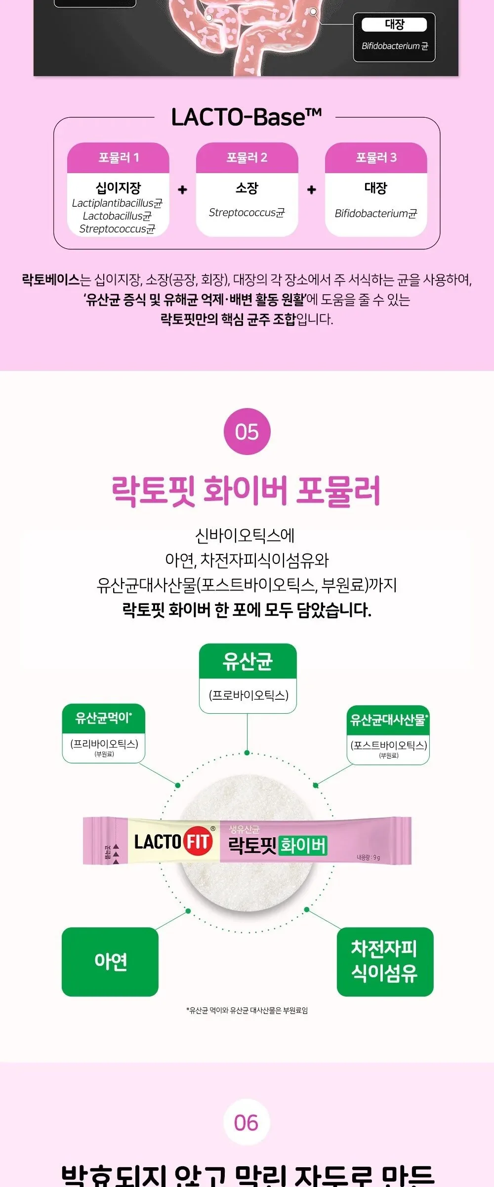 LACTO FIT FIBER  9g x 30pcs Detail