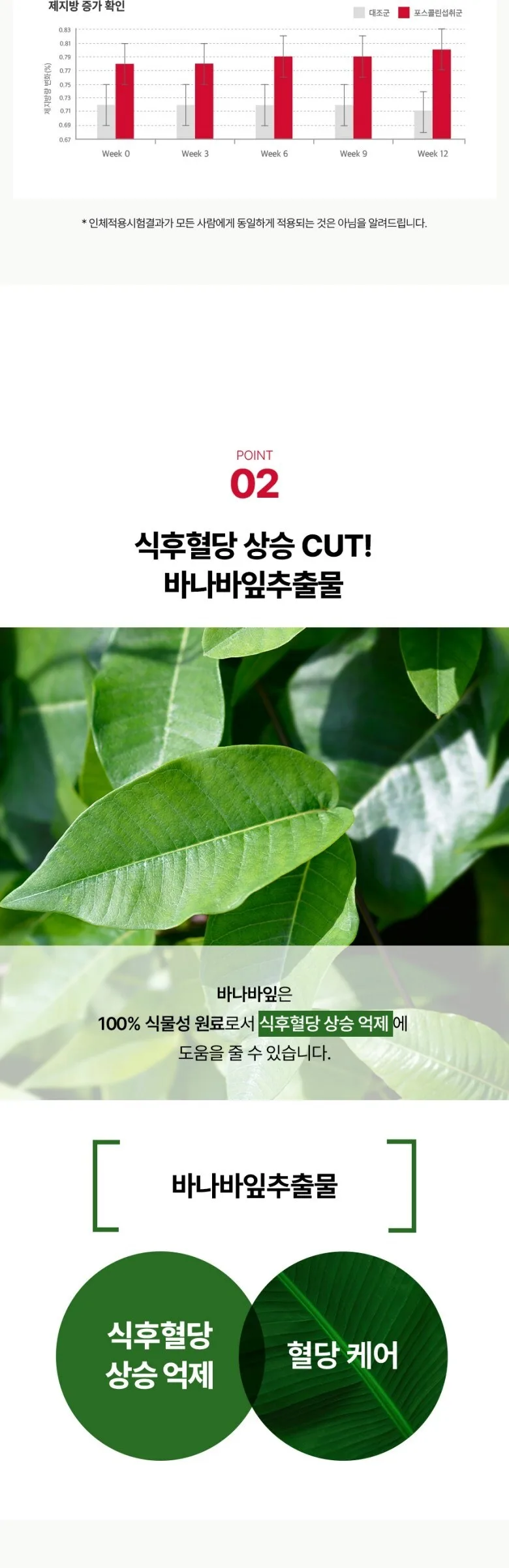 FOODOLOGY Coleology Hobby Escape Diet Tea 120g (15 Sticks) Detail