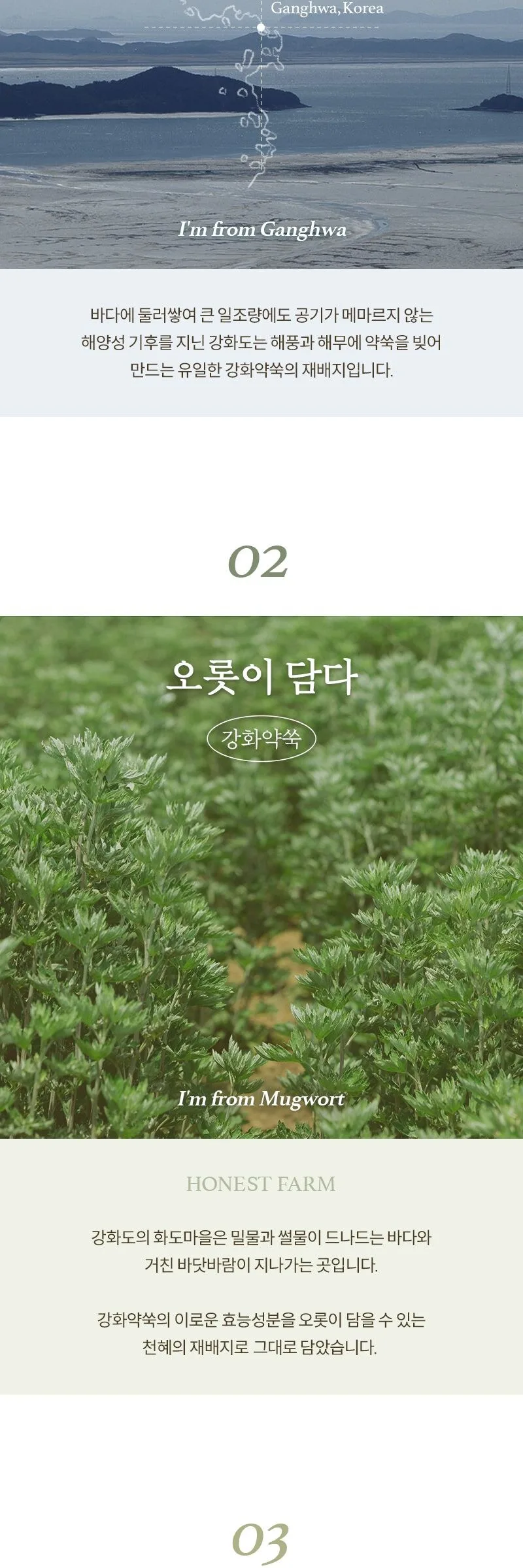 IM FROM Mugwort Gel Cleanser 150ml Detail