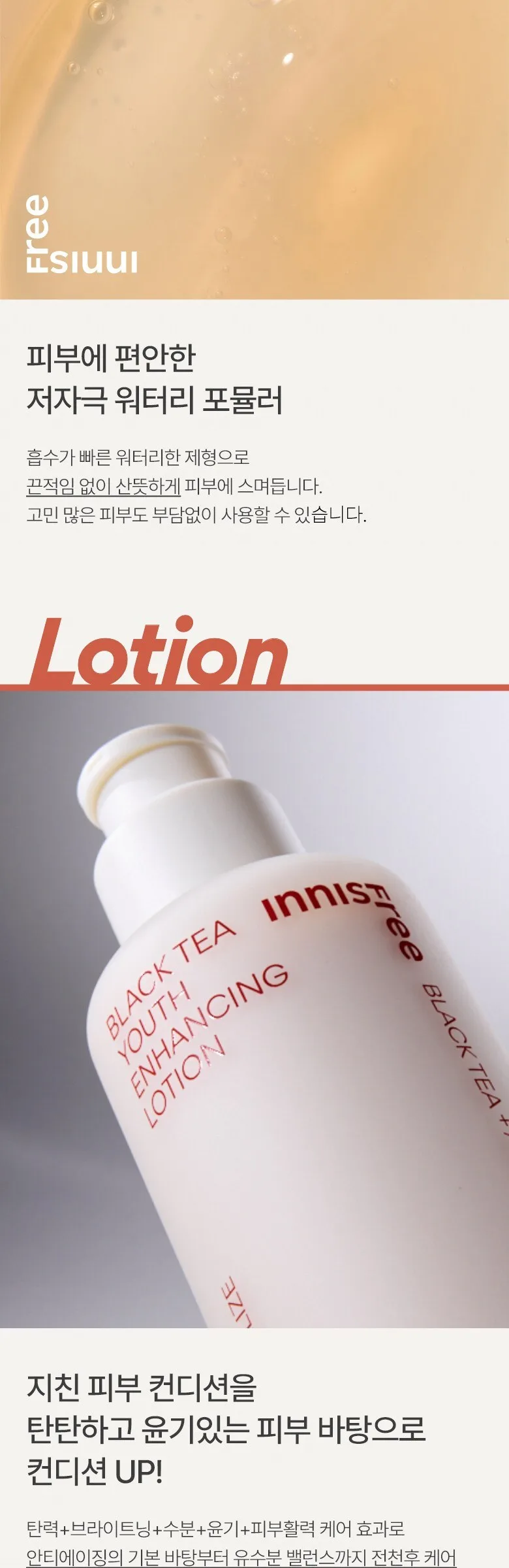 INNISFREE Black Tea Youth Enhancing Ampoule Skincare Set Detail