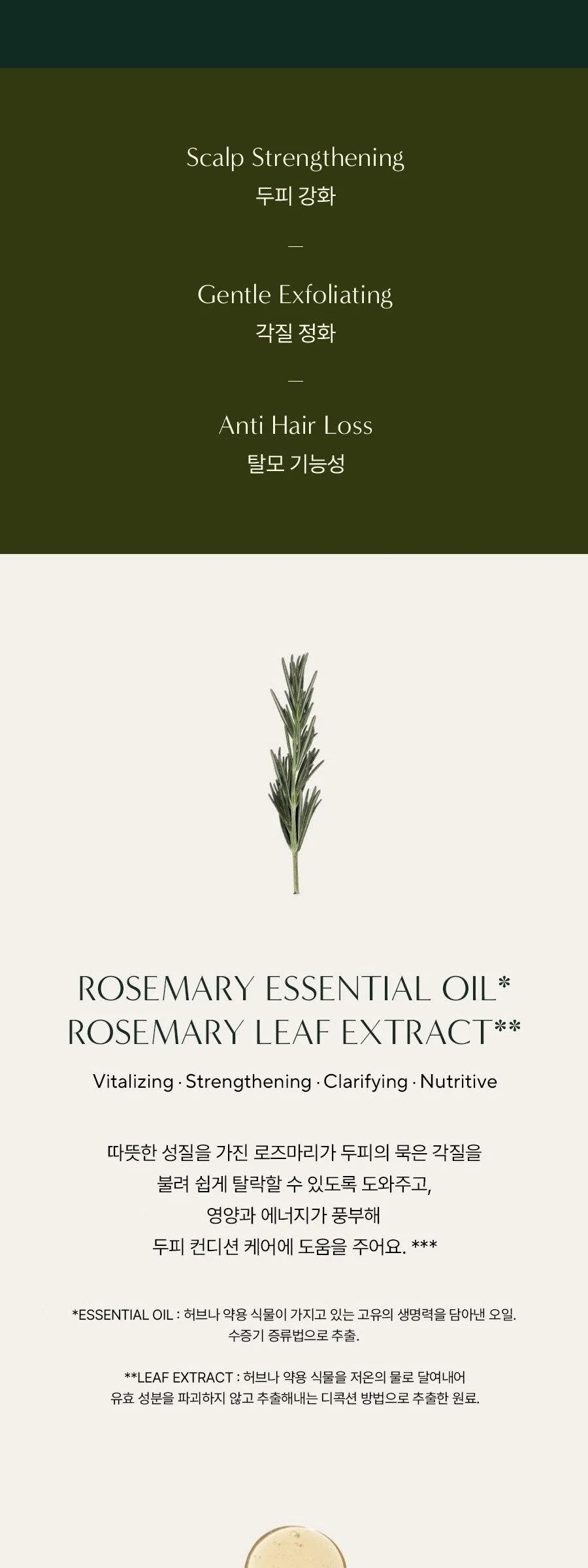 AROMATICA Rosemary Scalp Scaling Shampoo 750ml Detail