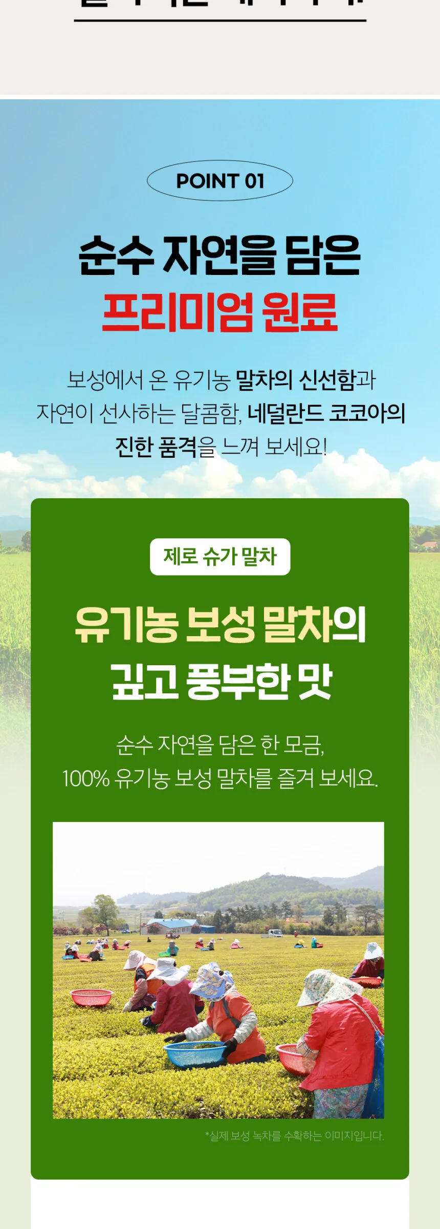 Witchs Kitchen Premium Zero Sugar Boseong Matcha 20g x 5 Sticks Detail