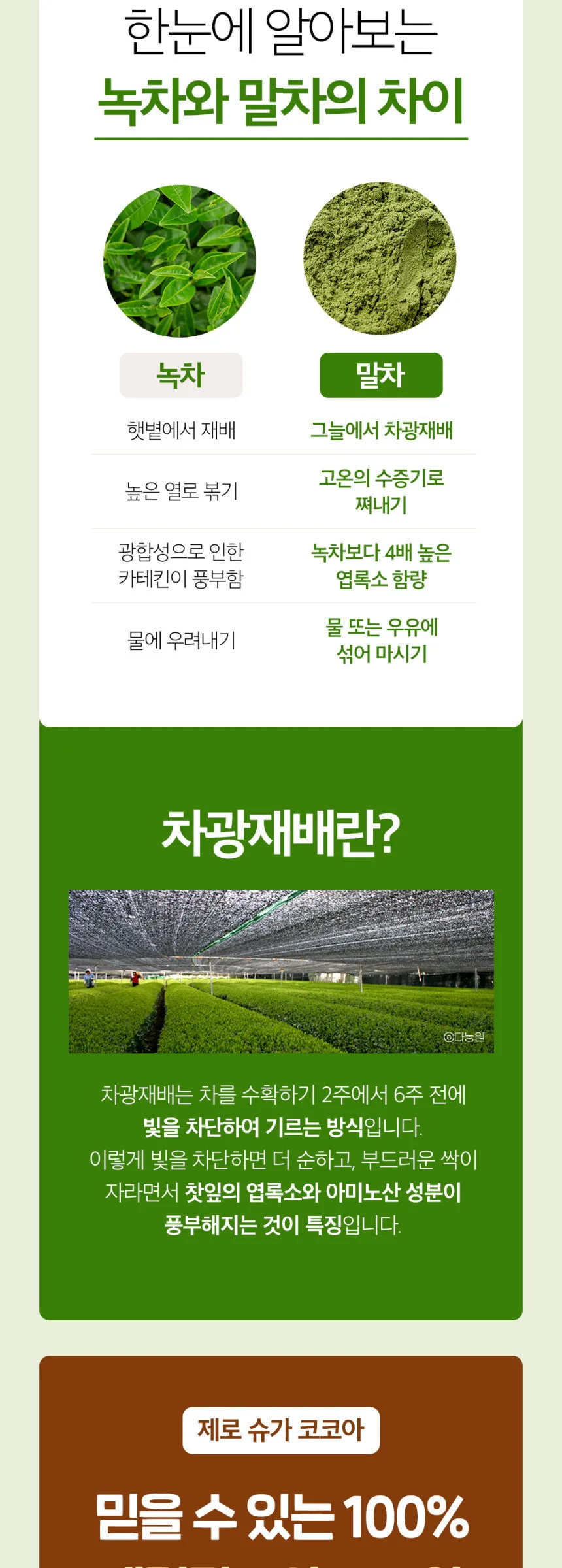 Witchs Kitchen Premium Zero Sugar Boseong Matcha 20g x 5 Sticks Detail