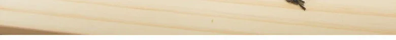 Organic Young Sprout Persimmon Leaf Tea 20g Detail