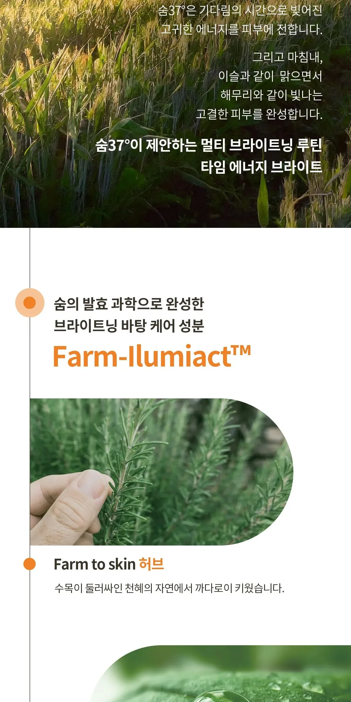 SU:M37 Time Energy Bright Luminous Serum 50ml Detail