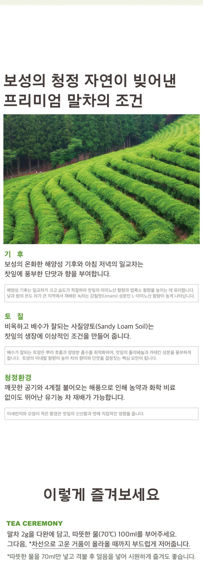 TAEHANTEA Organic Boseong Matcha 100g Detail