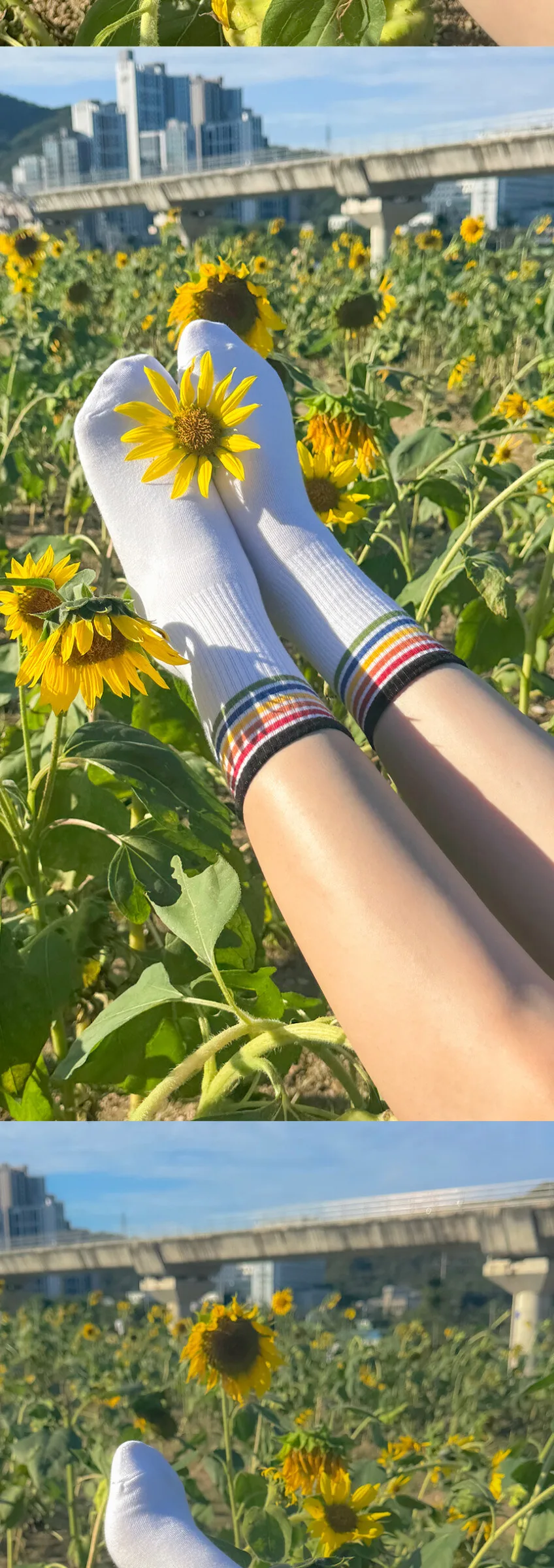 Lululela Colorful Banding Crew High Socks 5pack Detail