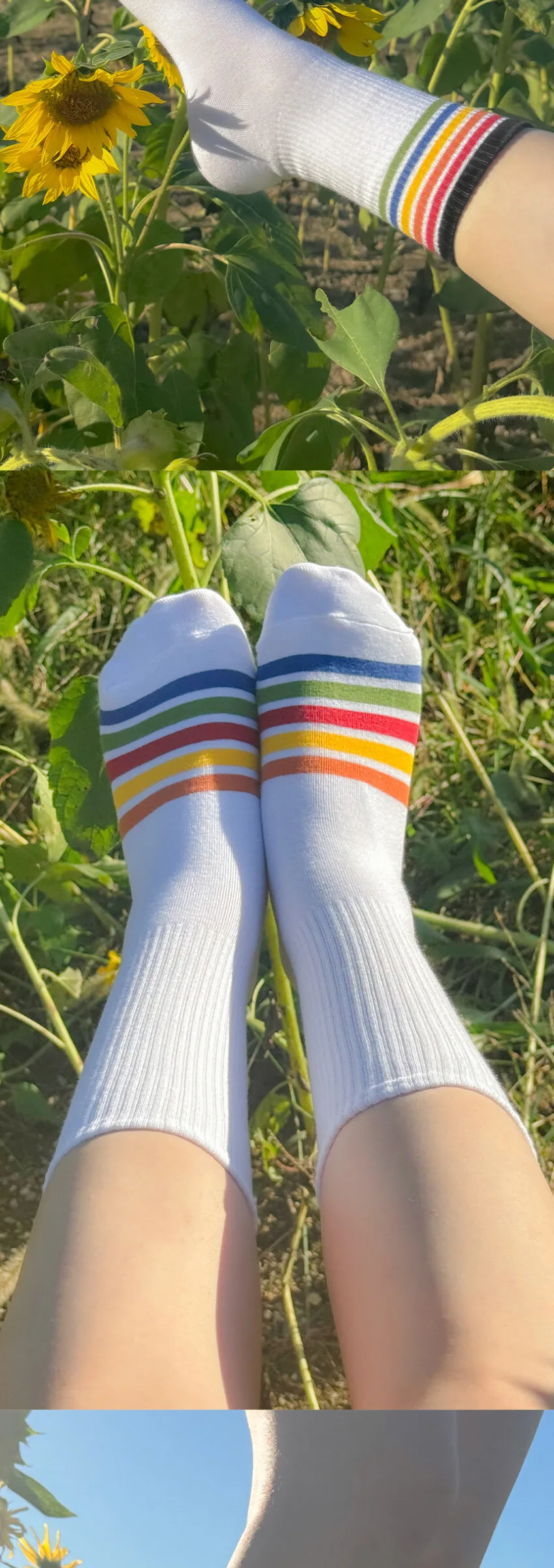 Lululela Colorful Banding Crew High Socks 5pack Detail