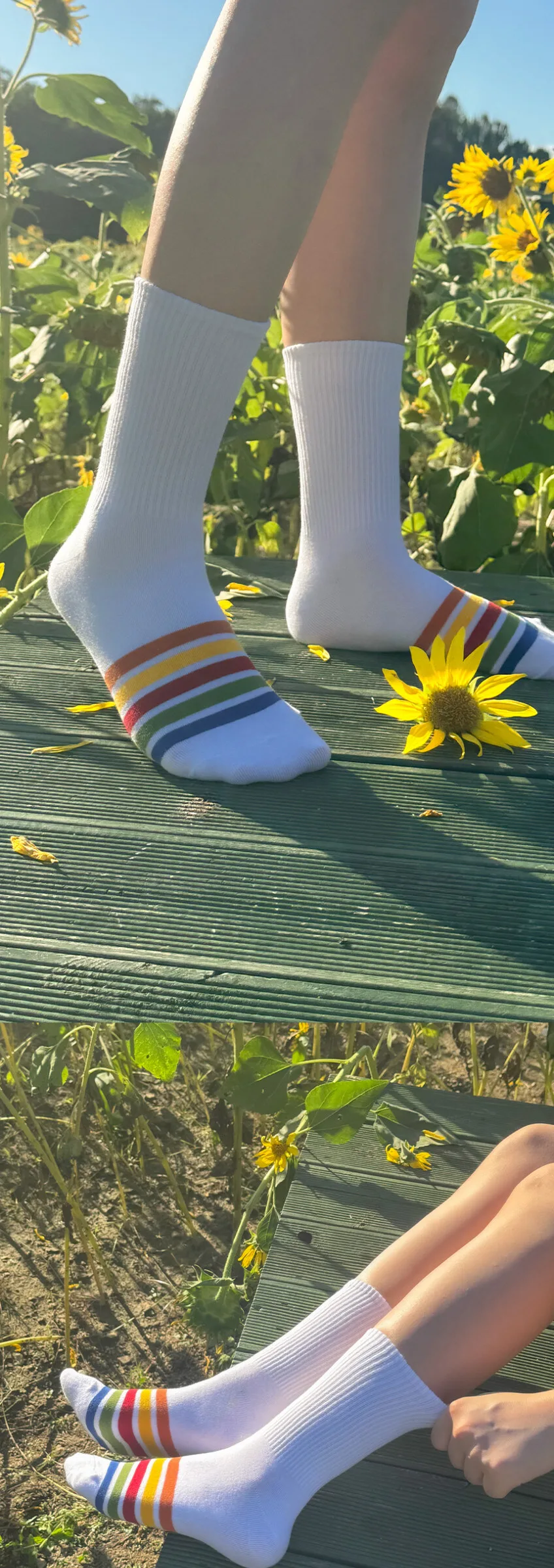 Lululela Colorful Banding Crew High Socks 5pack Detail