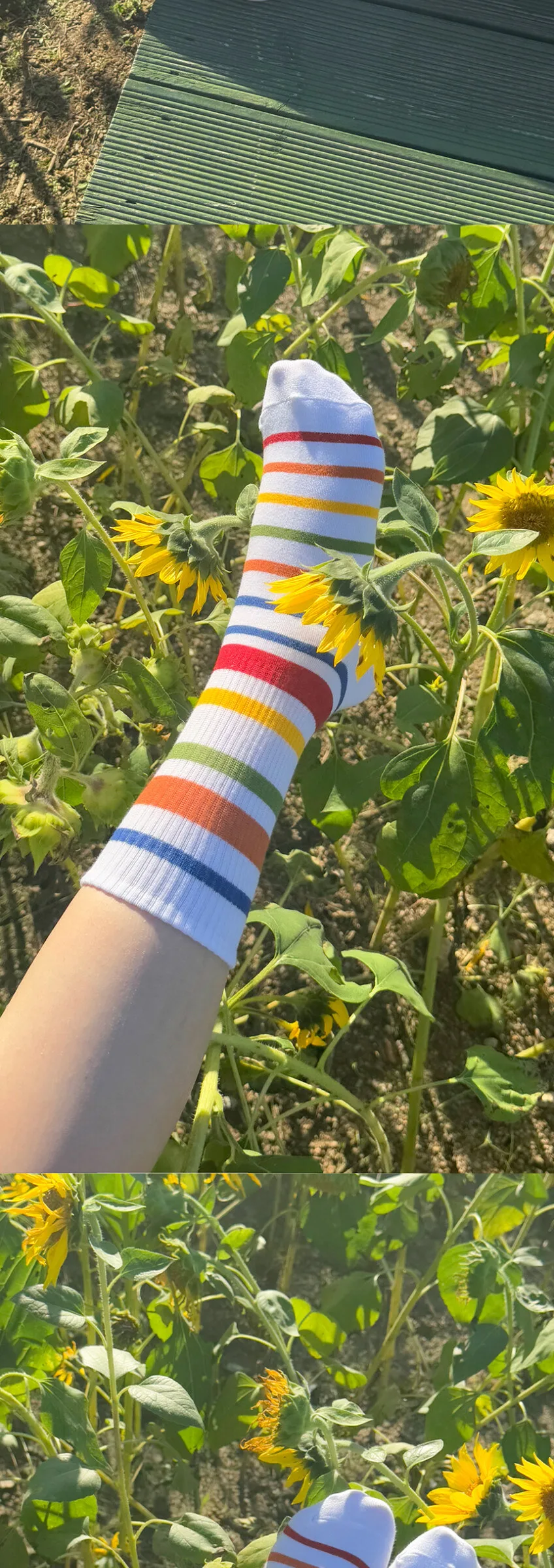 Lululela Colorful Banding Crew High Socks 5pack Detail