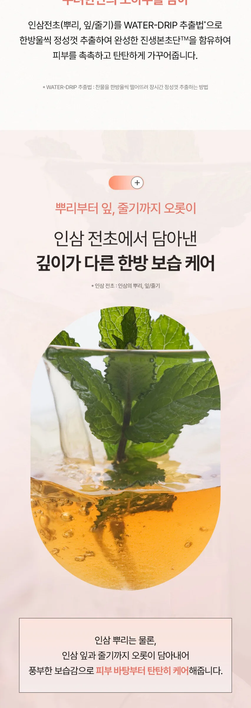 SOORYEHAN Bon Extra-Moisture Cream 50ml Detail