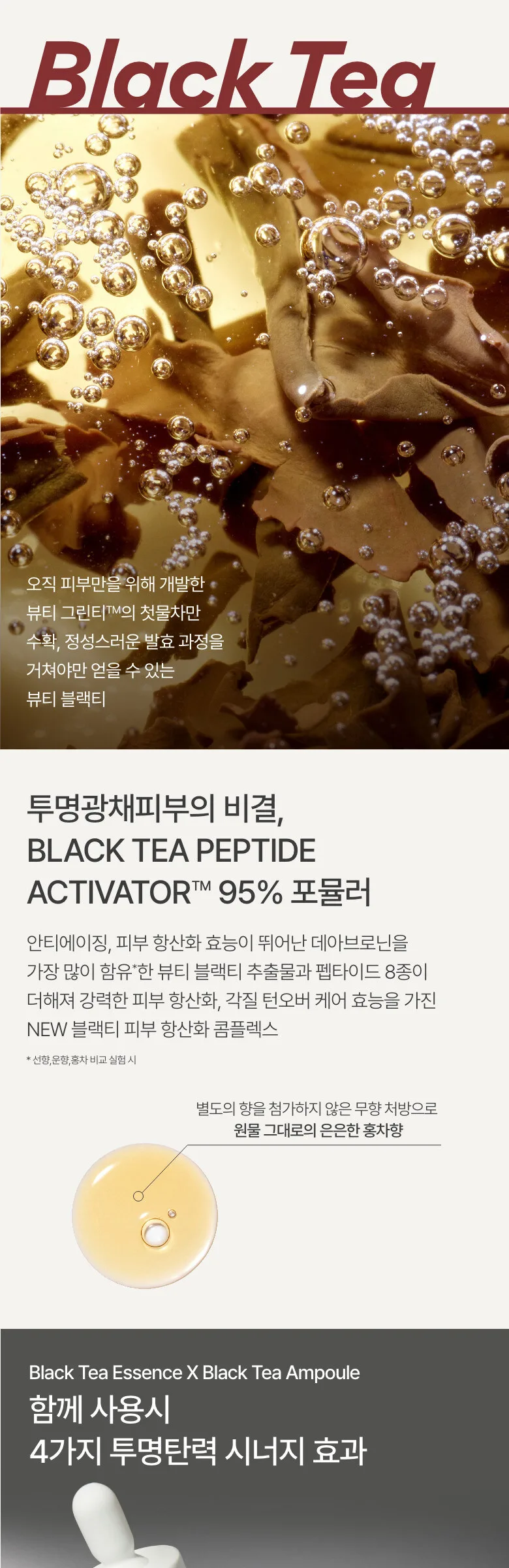 innisfree Black Tea Youth Enhancing Treatment Essence 145ml Detail