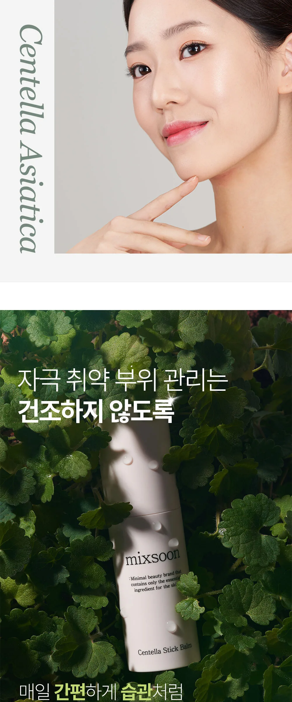 mixsoon Centella Asiatica Stick Balm 11.5ml Detail