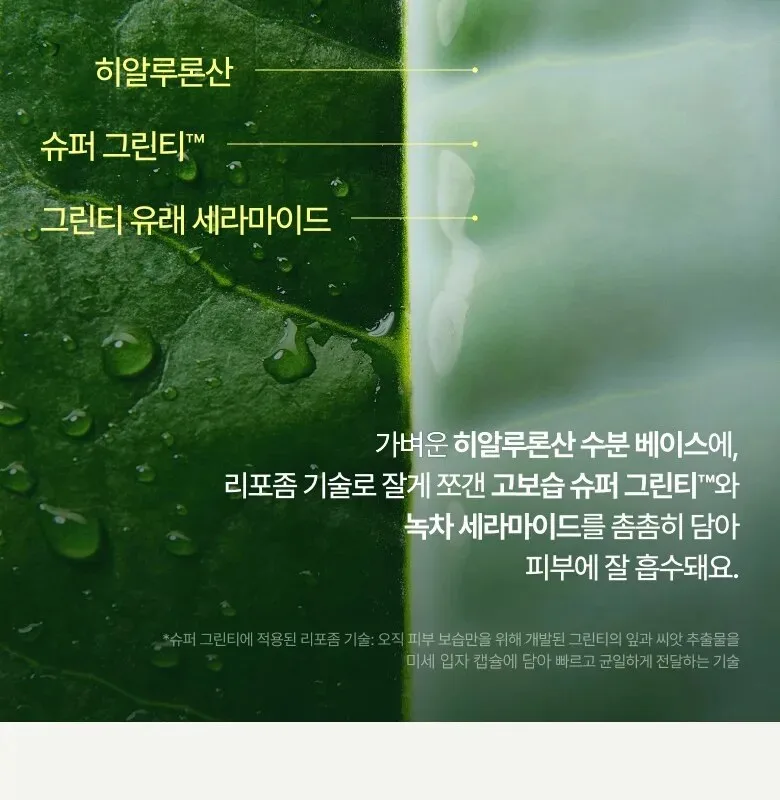 Innisfree Green Tea Ceramide Milk Essence160ml Detail