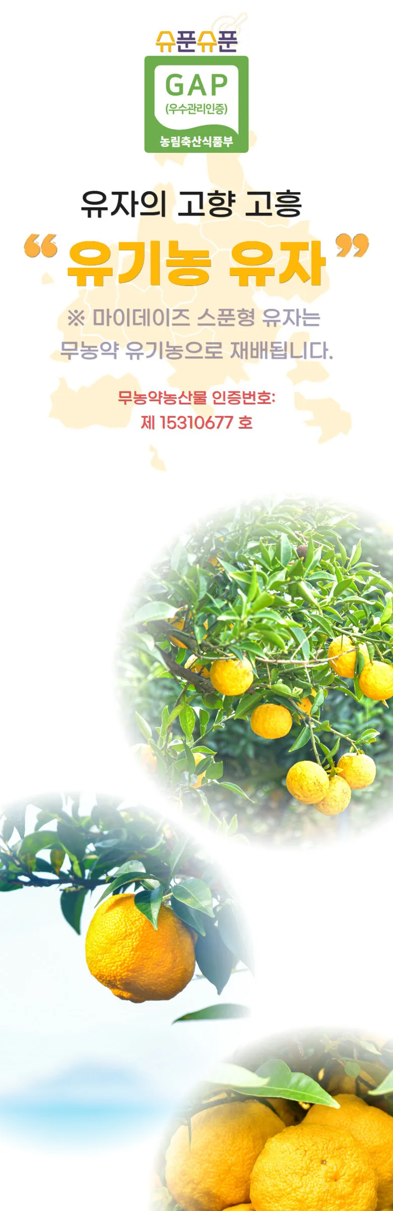 MyDays Spoon Type Honey Citron Tea 10 Sticks Detail