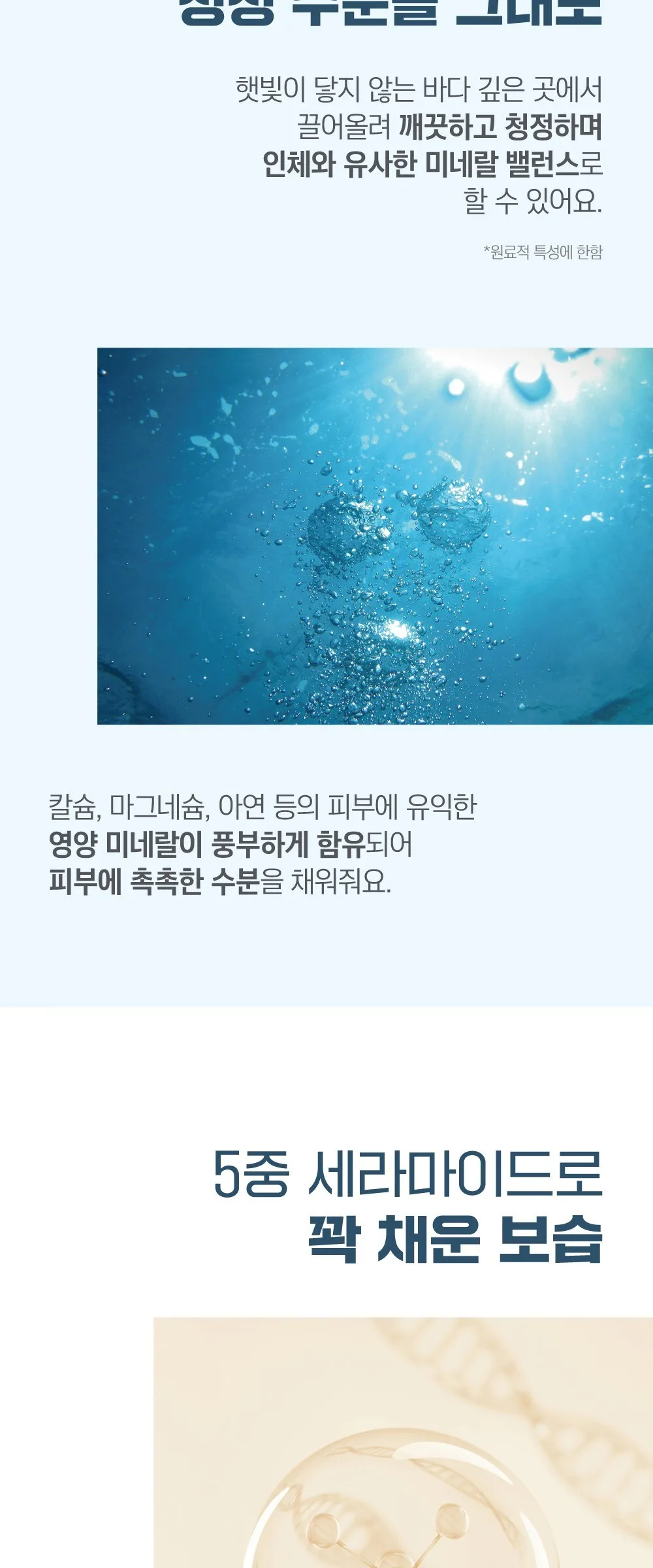 ROUND LAB 1025 Dokdo Cream 80ml Detail