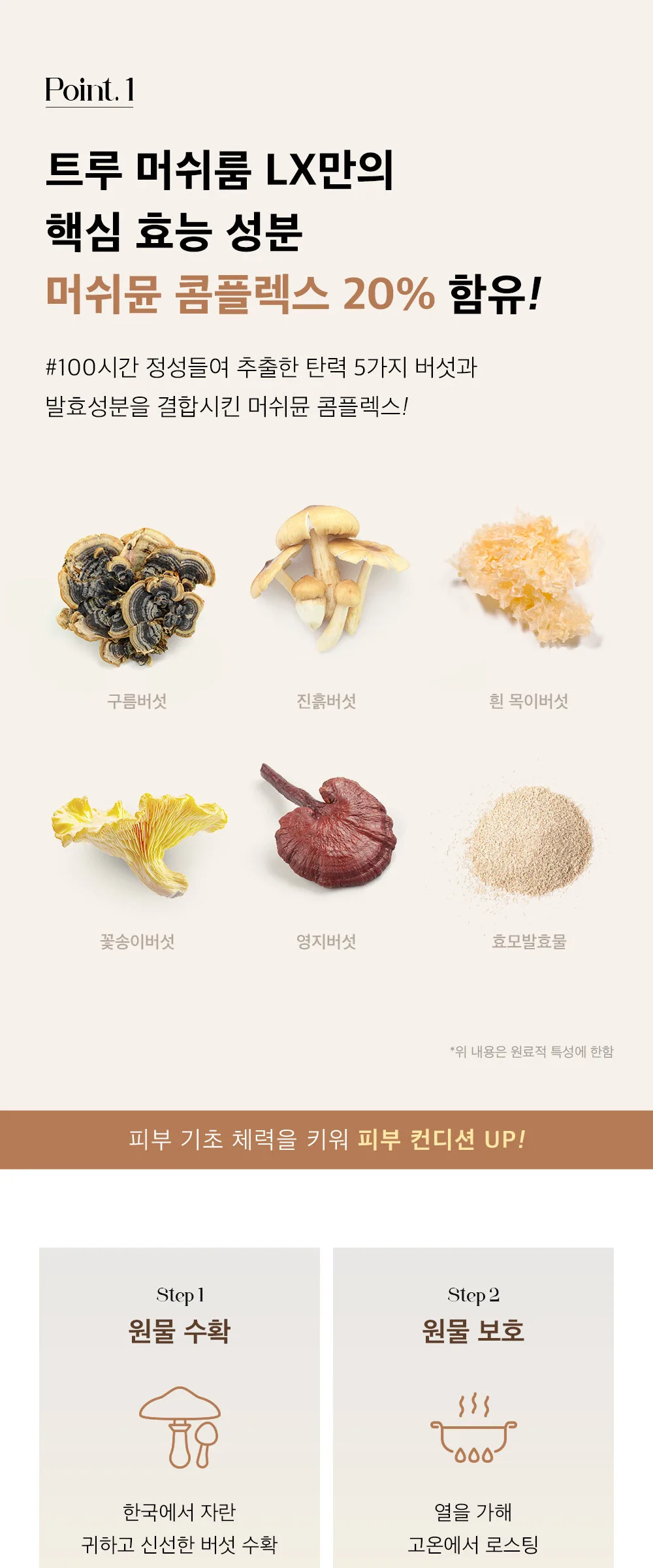 THE SAEM True Mushroom LX Balancing Emulsion 115ml Detail